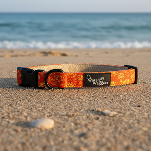 Shell Collar
