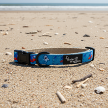 Shark Collar
