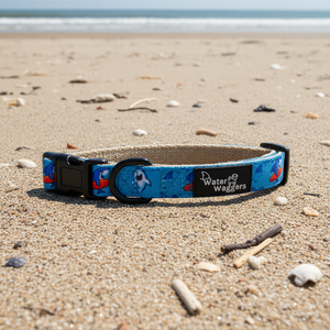 Shark Collar