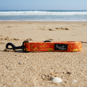Shell Leash