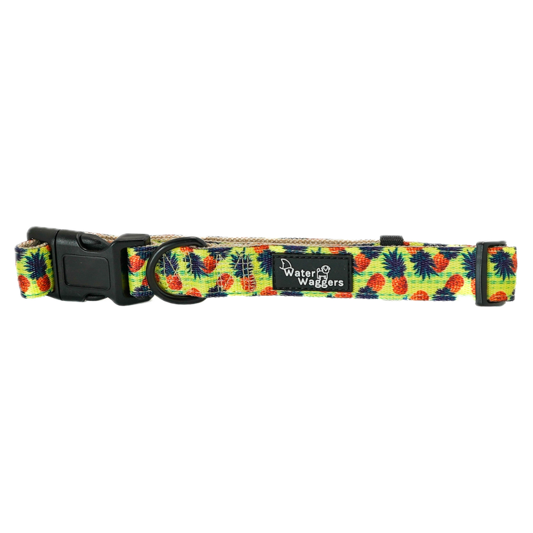 Pineapple Collar