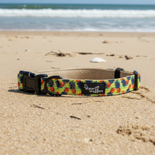 Pineapple Collar